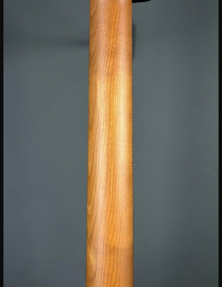 Schecter R66 Original Traditional Chicago Chitarra Elettrica