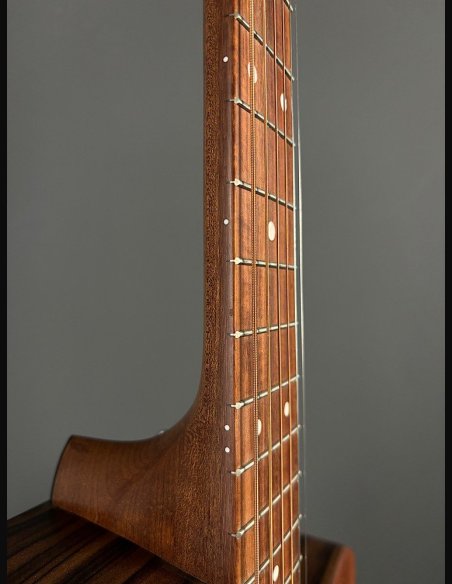 Martin GPC-X2E-03 Chitarra Folk Elettrificata Sapele/Macass w/GIG BAG