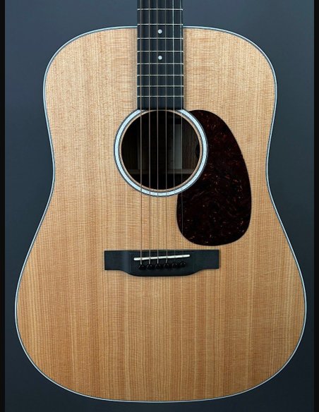Martin D-13E Folk Elettrificata w/soft shell