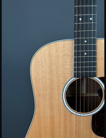 Martin D-13E Folk Elettrificata w/soft shell