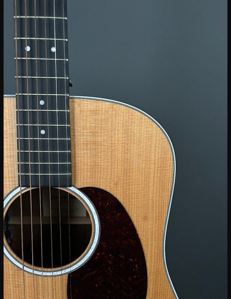 Martin D-13E Folk Elettrificata w/soft shell