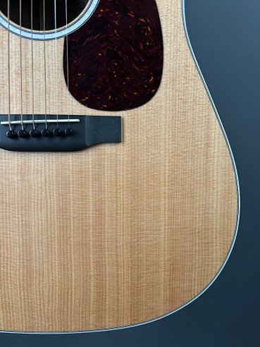 Martin D-13E Folk Elettrificata w/soft shell