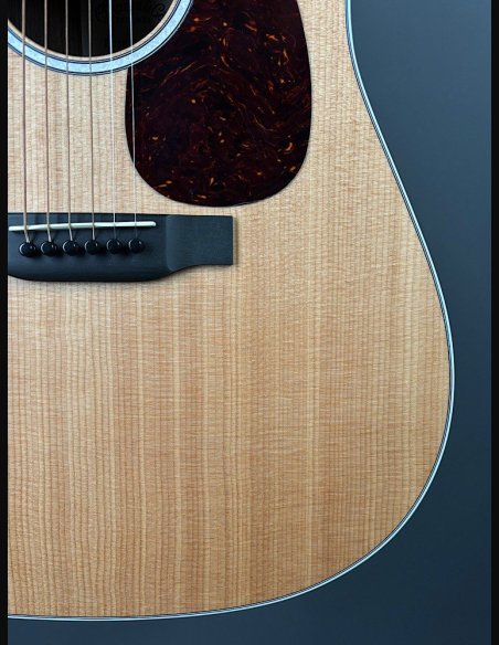 Martin D-13E Folk Elettrificata w/soft shell