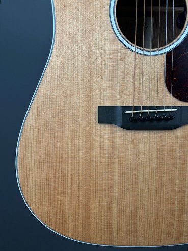 Martin D-13E Folk Elettrificata w/soft shell