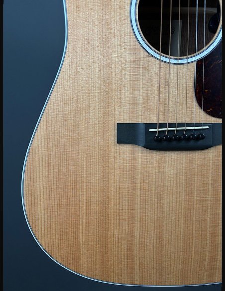 Martin D-13E Folk Elettrificata w/soft shell