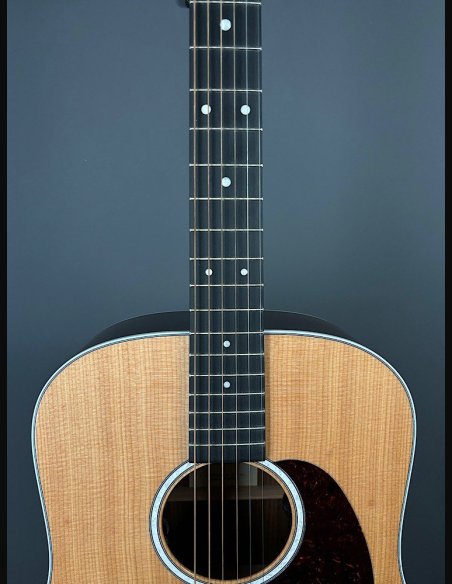 Martin D-13E Folk Elettrificata w/soft shell