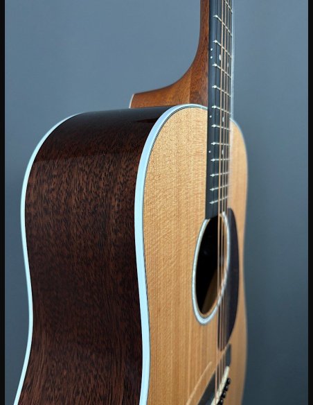 Martin D-13E Folk Elettrificata w/soft shell