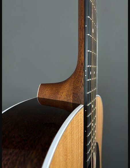 Martin D-13E Folk Elettrificata w/soft shell