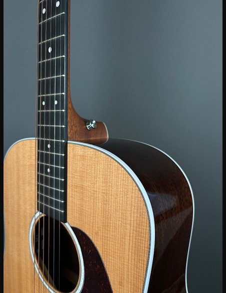 Martin D-13E Folk Elettrificata w/soft shell