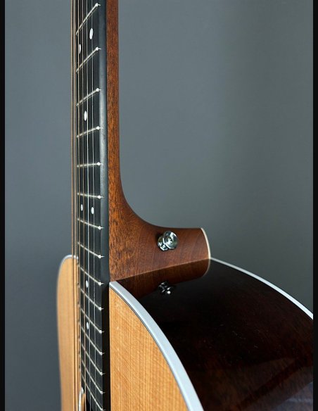 Martin D-13E Folk Elettrificata w/soft shell