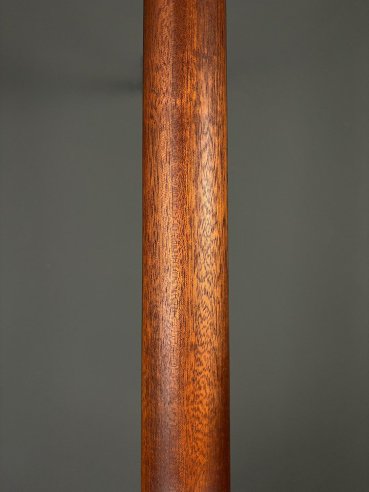 Martin D-13E Folk Elettrificata w/soft shell