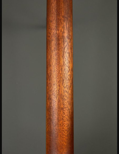 Martin D-13E Folk Elettrificata w/soft shell