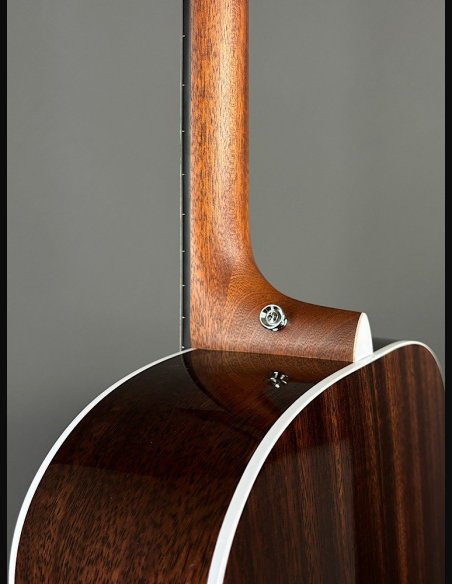 Martin D-13E Folk Elettrificata w/soft shell