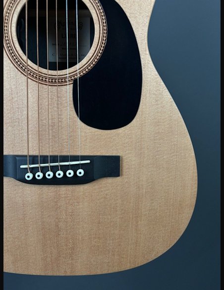 Martin LX1 RE Little Martin