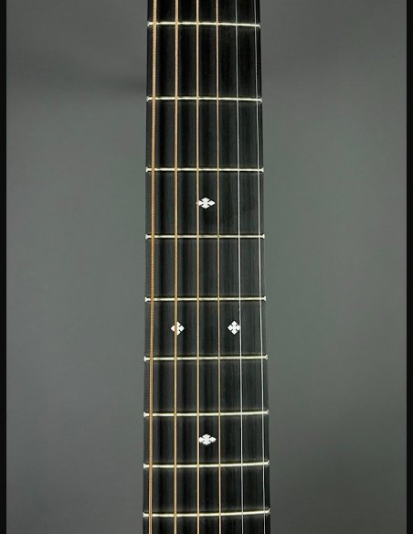 Martin LX1 RE Little Martin