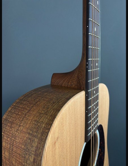 Martin DX2E-01 Chitarra Folk Elettrificata