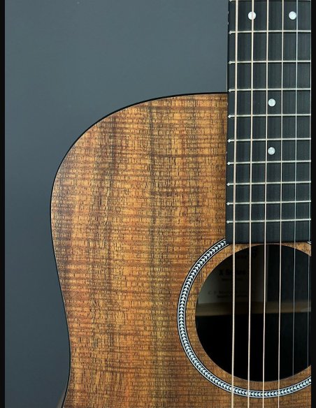 Martin D-X1E KOA Folk Elettrificata