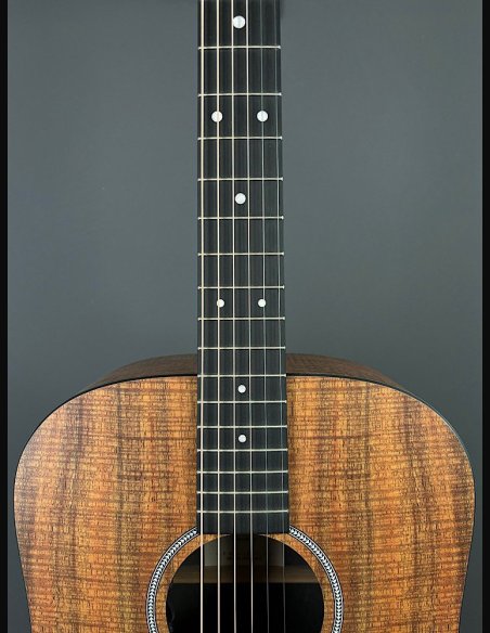 Martin D-X1E KOA Folk Elettrificata