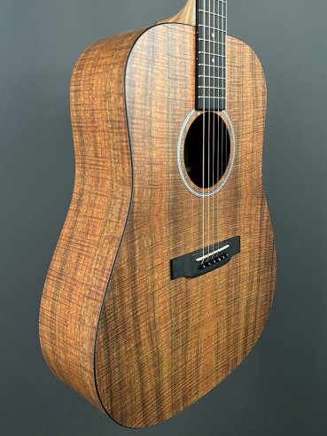 Martin D-X1E KOA Folk Elettrificata