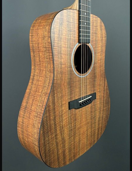 Martin D-X1E KOA Folk Elettrificata