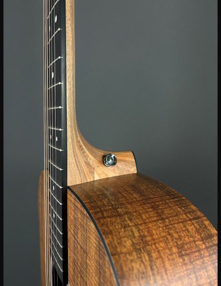 Martin D-X1E KOA Folk Elettrificata