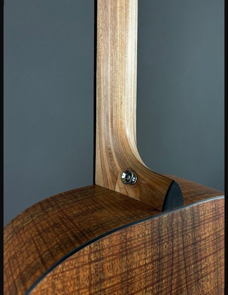 Martin D-X1E KOA Folk Elettrificata