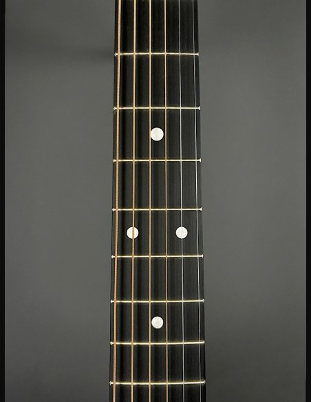 Martin DX-1E 04 Ch Folk Elettrificata