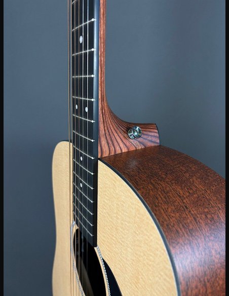 Martin DX-1E 04 Ch Folk Elettrificata