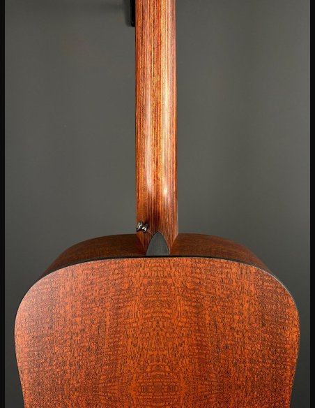 Martin DX-1E 04 Ch Folk Elettrificata