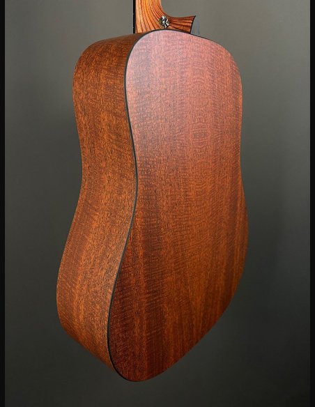 Martin DX-1E 04 Ch Folk Elettrificata