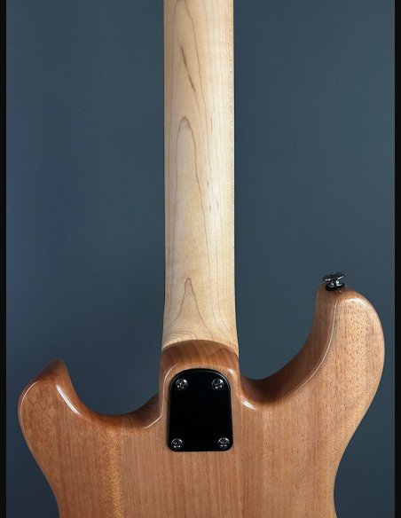 PRS SE Custom 24 Blood Orange