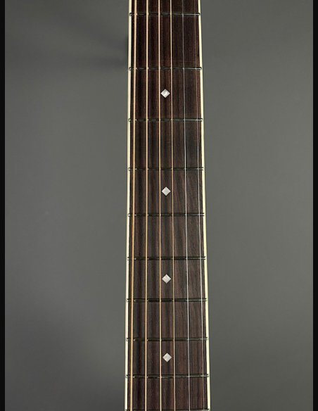 D'Angelico Premier Gramercy Caramel Burst