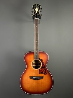 D'Angelico Premier Tammany Carmel Burst 2