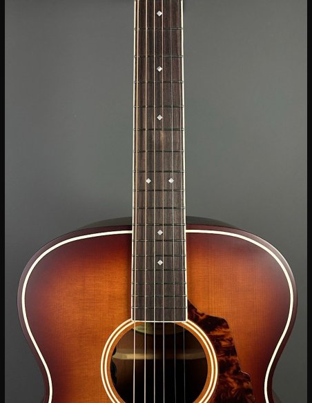 D'Angelico Premier Tammany Carmel Burst