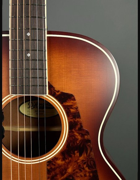 D'Angelico Premier Tammany Carmel Burst