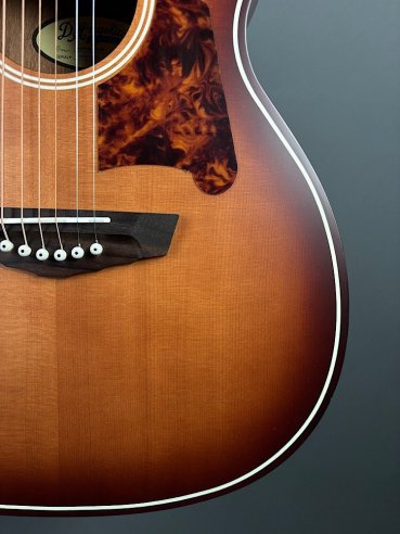 D'Angelico Premier Tammany Carmel Burst