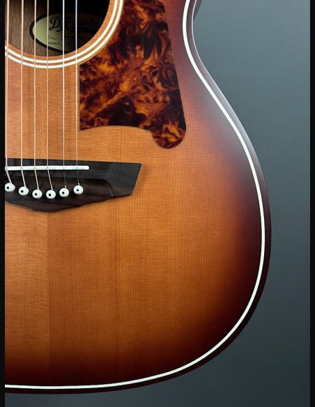 D'Angelico Premier Tammany Carmel Burst