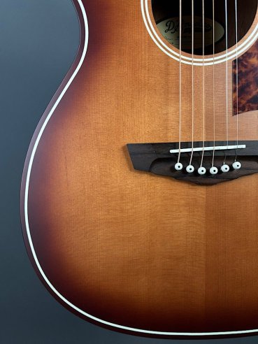 D'Angelico Premier Tammany Carmel Burst