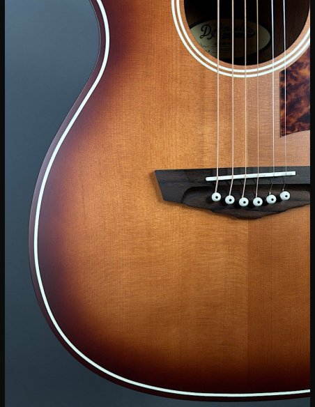 D'Angelico Premier Tammany Carmel Burst