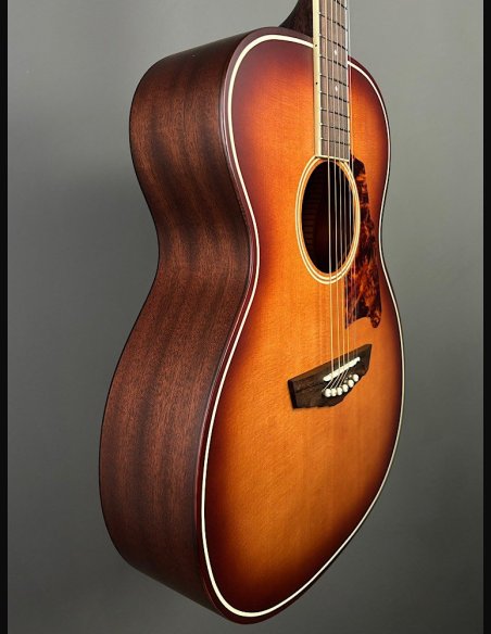 D'Angelico Premier Tammany Carmel Burst