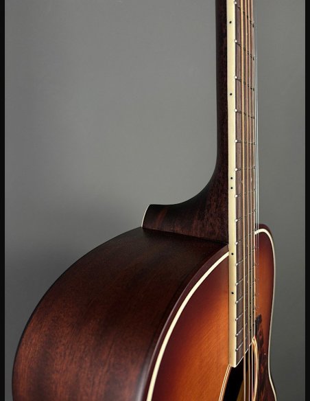 D'Angelico Premier Tammany Carmel Burst