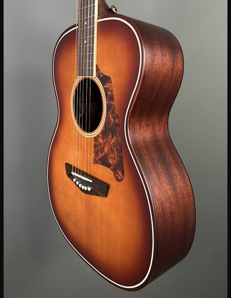 D'Angelico Premier Tammany Carmel Burst