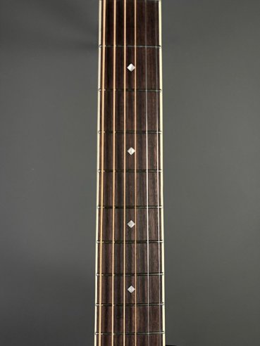 D'Angelico Premier Tammany Carmel Burst