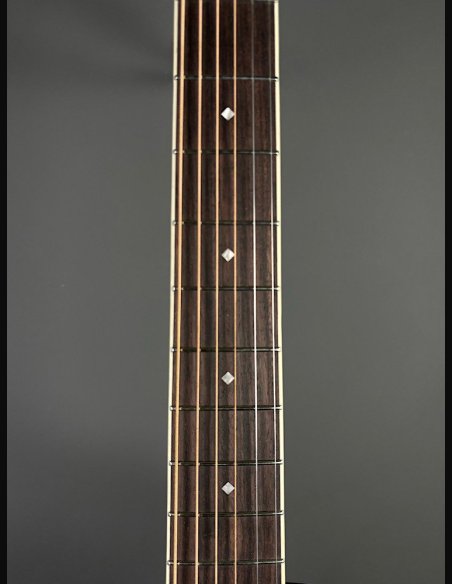 D'Angelico Premier Tammany Carmel Burst