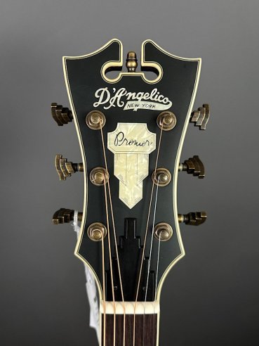 D'Angelico Premier Tammany Carmel Burst