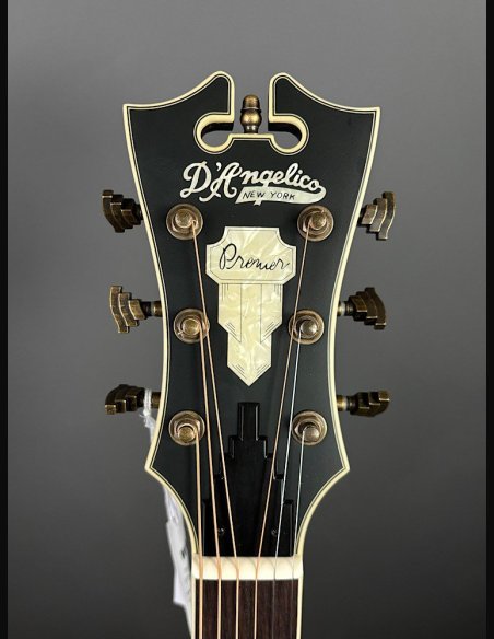 D'Angelico Premier Tammany Carmel Burst