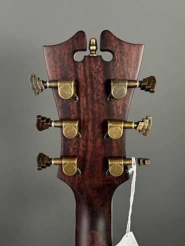 D'Angelico Premier Tammany Carmel Burst