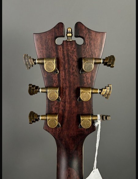 D'Angelico Premier Tammany Carmel Burst