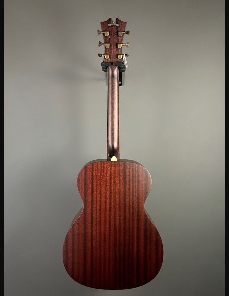 D'Angelico Premier Tammany Carmel Burst