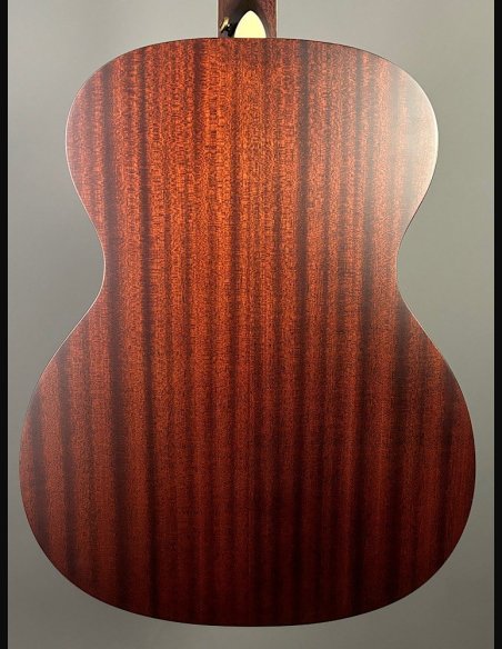 D'Angelico Premier Tammany Carmel Burst